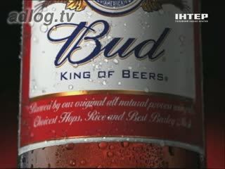 Bud King of Beers